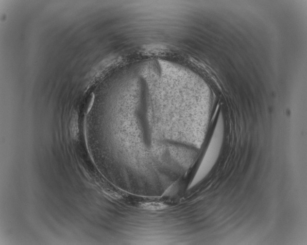 X0000087640508200705241243