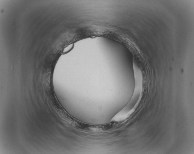 X0000087640509200705241243