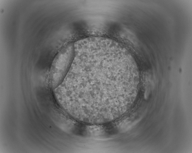 X0000087640511200705241243