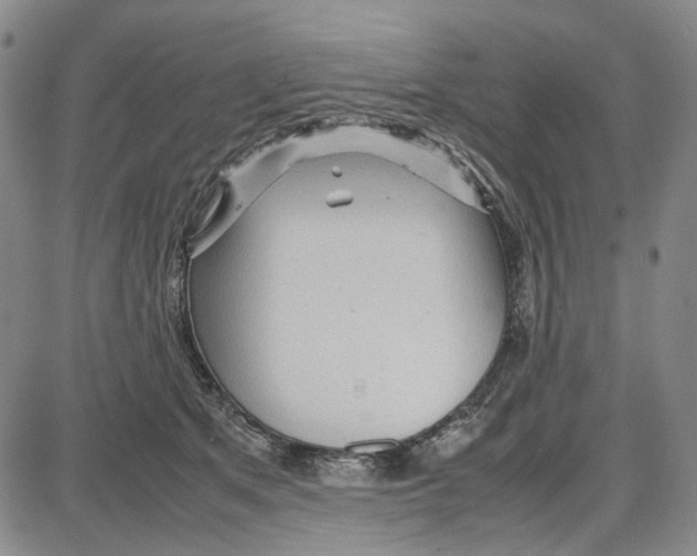 X0000087640513200705241243