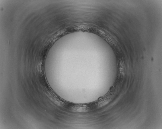 X0000087640514200705241243