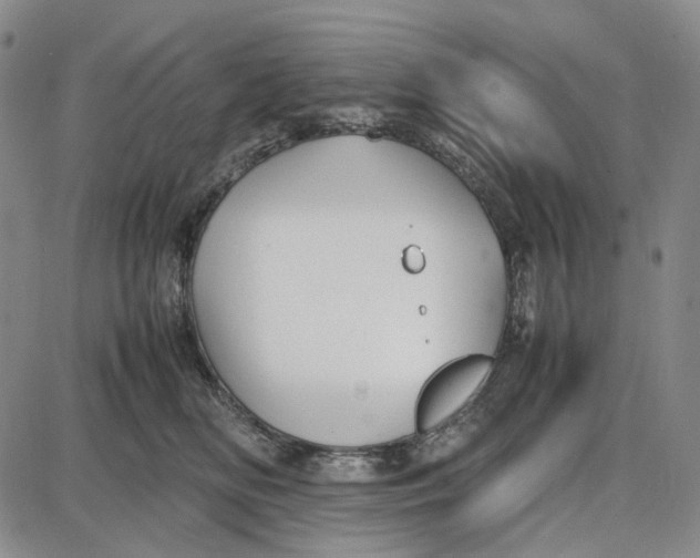 X0000087640518200705241243