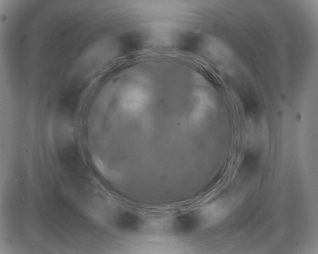 X0000087640519200705241243