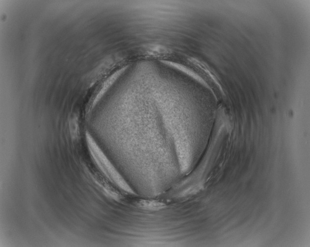 X0000087640520200705241243