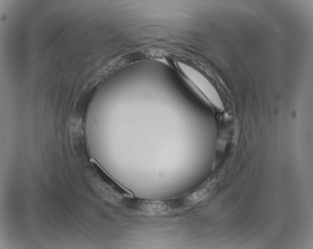 X0000087640521200705241243