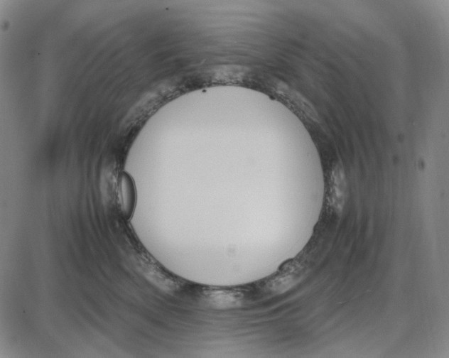 X0000087640522200705241243