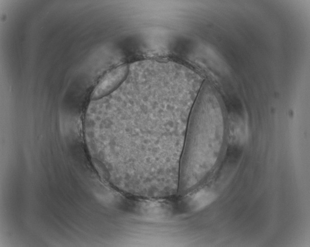 X0000087640523200705241243