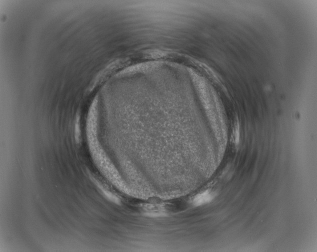 X0000087640524200705241243