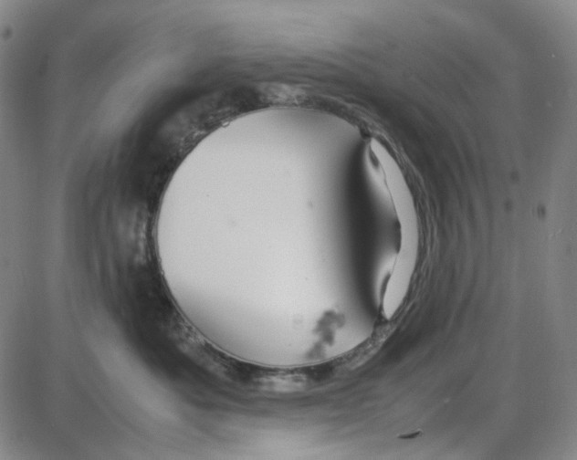 X0000087640525200705241243