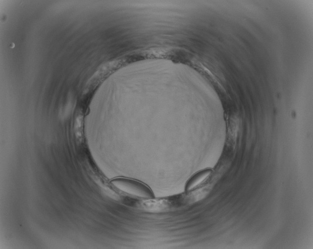 X0000087640526200705241243