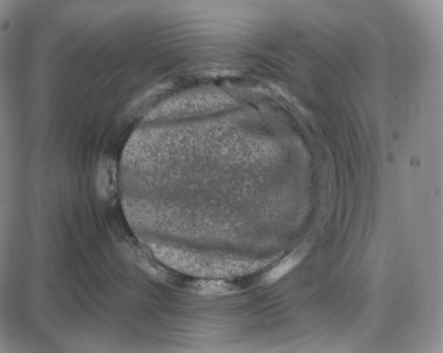 X0000087640528200705241243