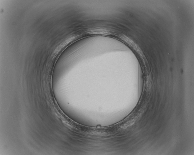 X0000087640529200705241242