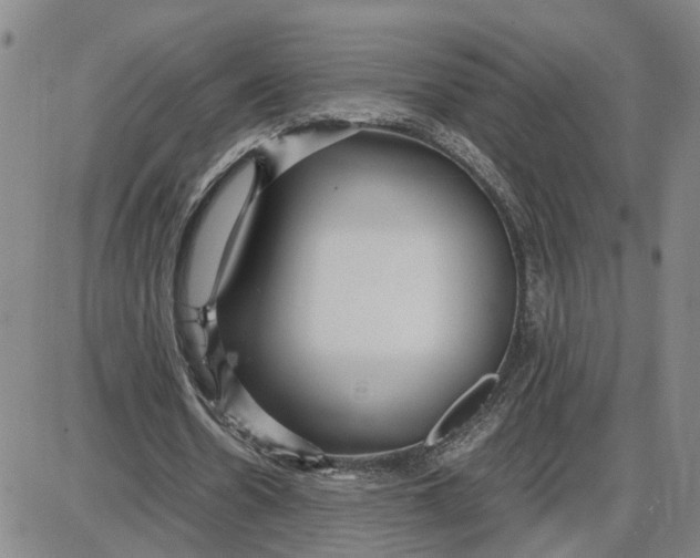 X0000087640530200705241242