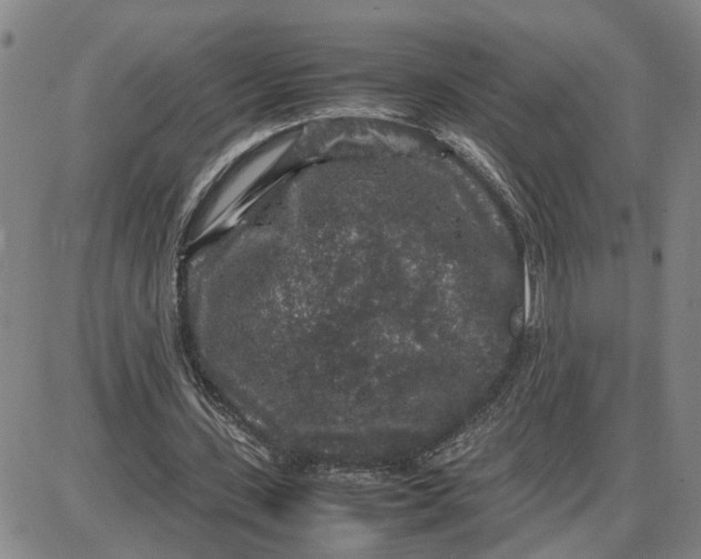 X0000087640531200705241242