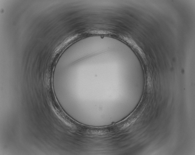 X0000087640533200705241242