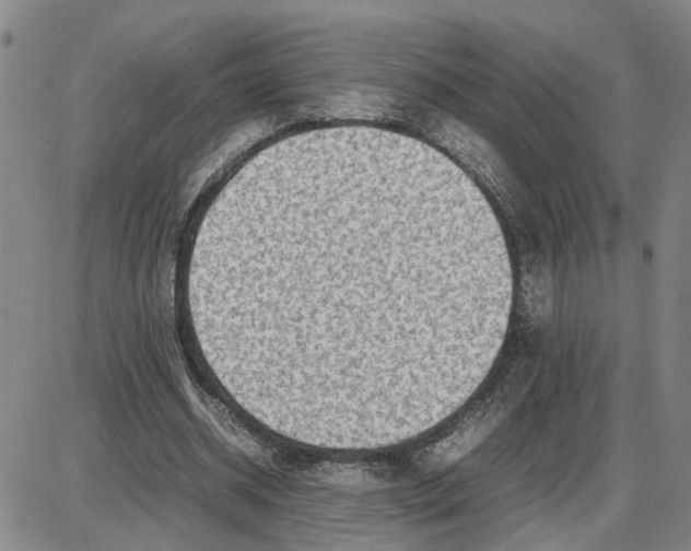 X0000087640534200705241242