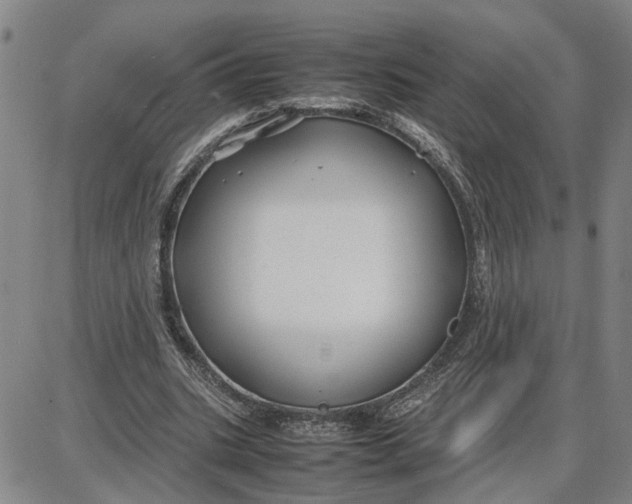 X0000087640535200705241242