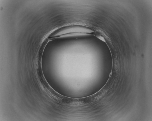 X0000087640536200705241242