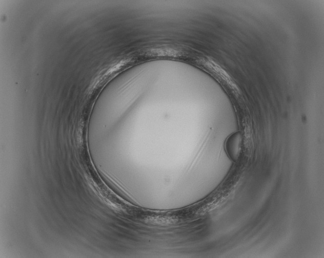 X0000087640537200705241242