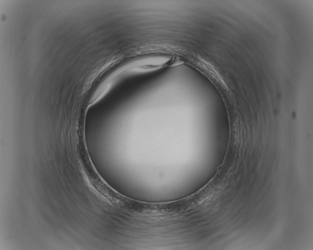 X0000087640538200705241242