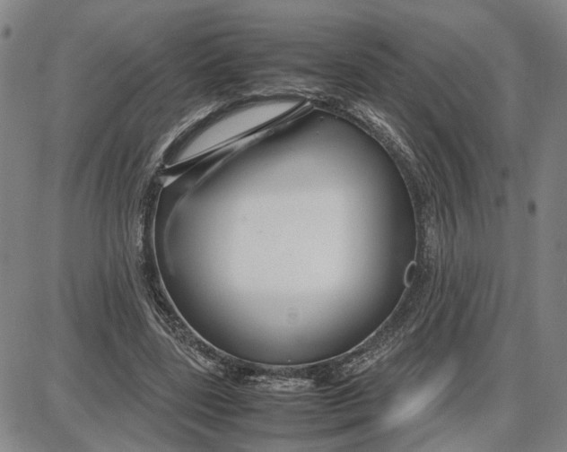 X0000087640539200705241242