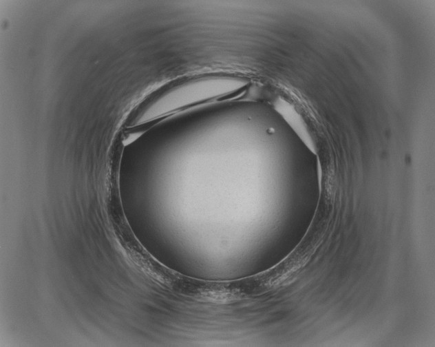 X0000087640540200705241242