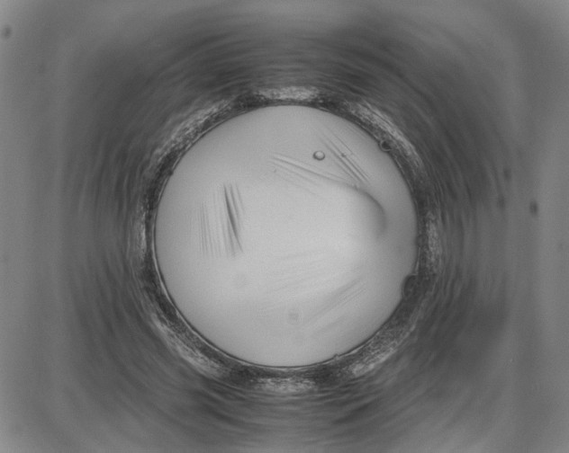 X0000087640541200705241242