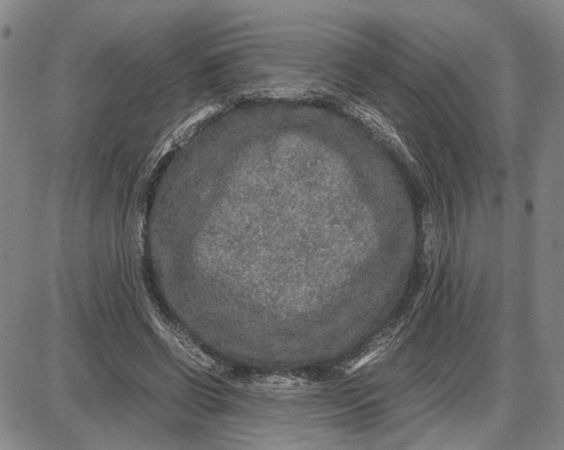 X0000087640542200705241242