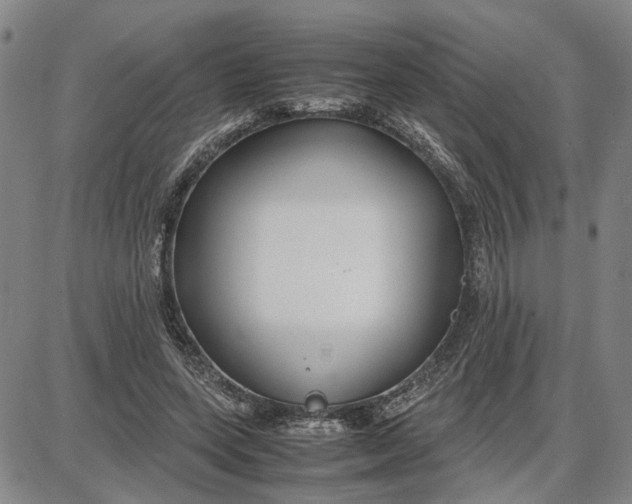 X0000087640543200705241242