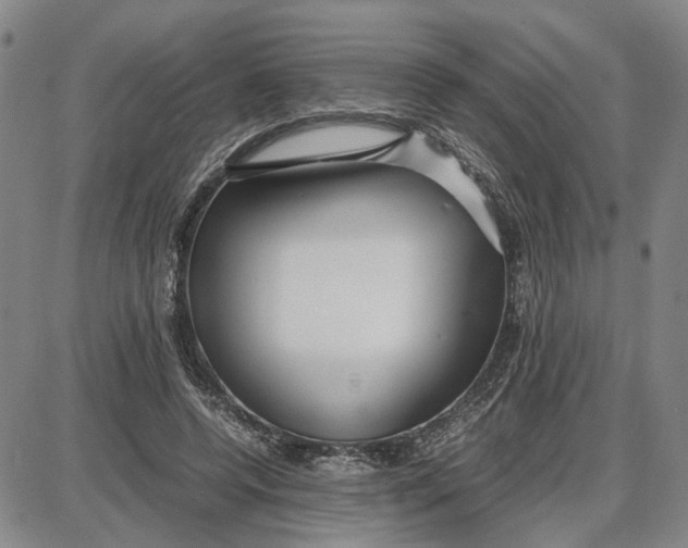 X0000087640544200705241242