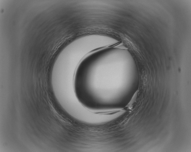 X0000087640546200705241242