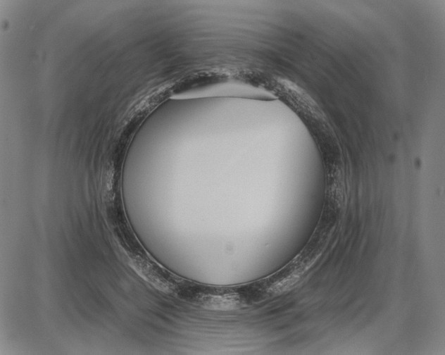 X0000087640548200705241242