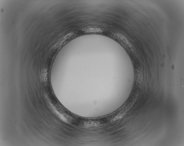 X0000087640549200705241242