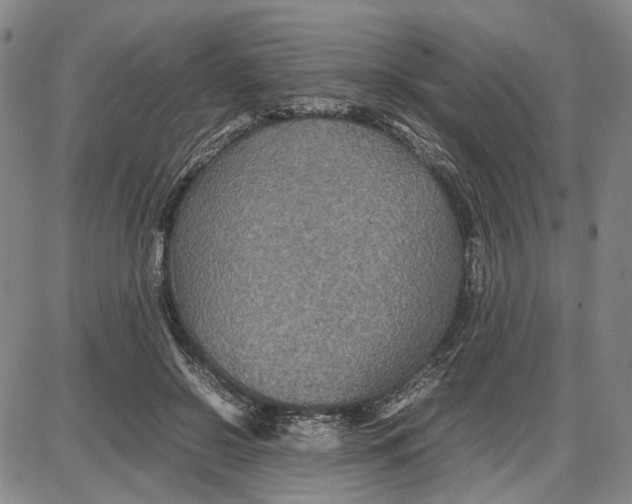 X0000087640550200705241242