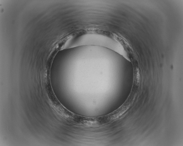 X0000087640552200705241242