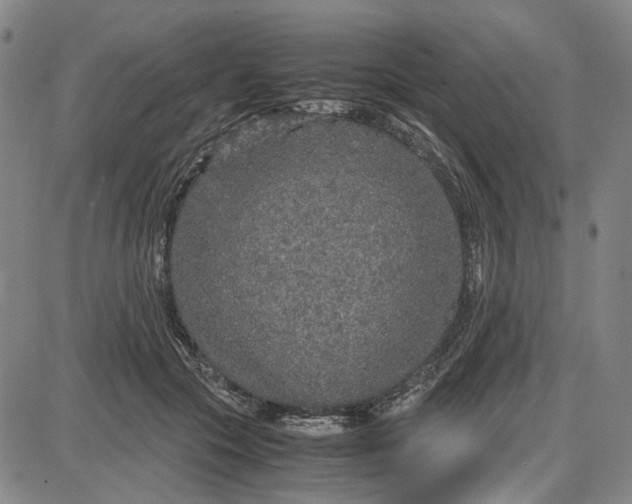 X0000087640553200705241242