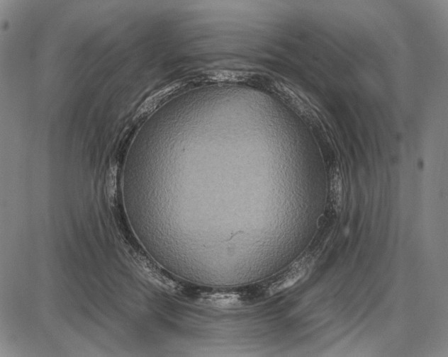 X0000087640554200705241242