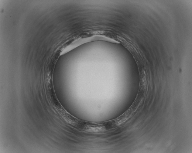 X0000087640555200705241242