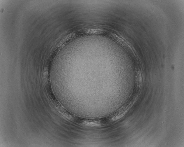 X0000087640557200705241242