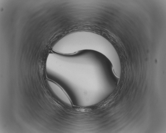 X0000087640558200705241242