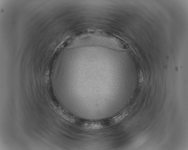 X0000087640559200705241242