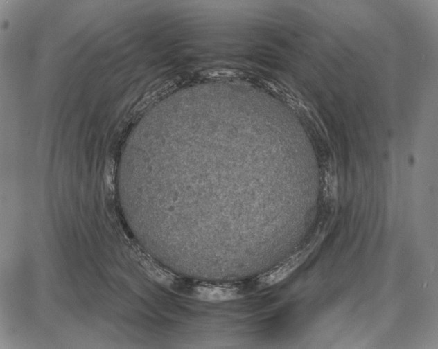 X0000087640561200705241242