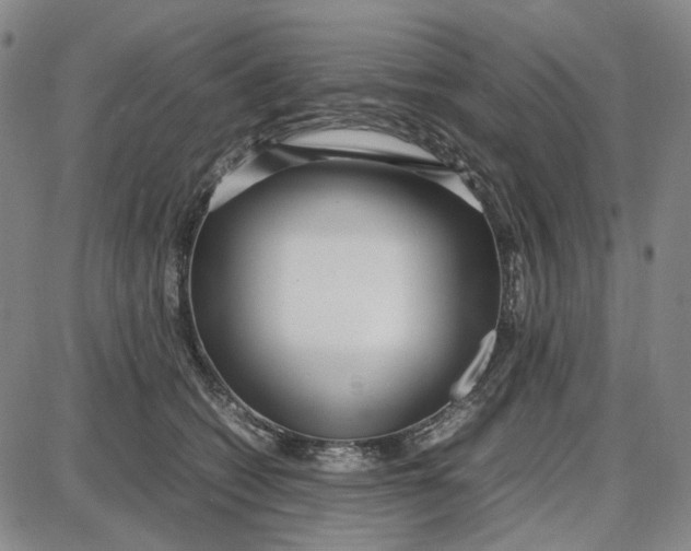 X0000087640562200705241242