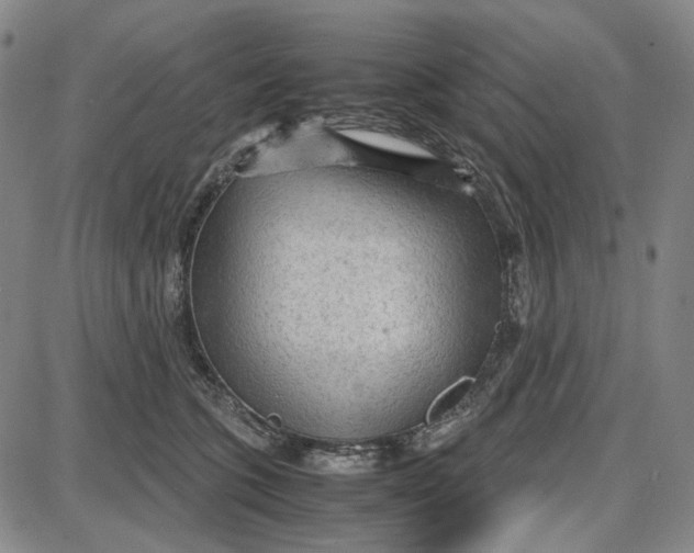 X0000087640563200705241242