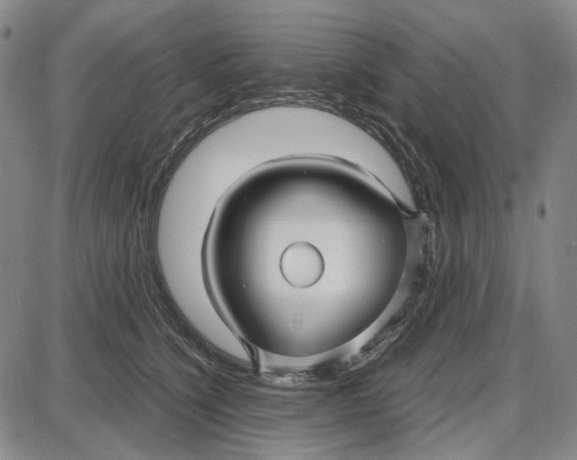 X0000087640564200705241242