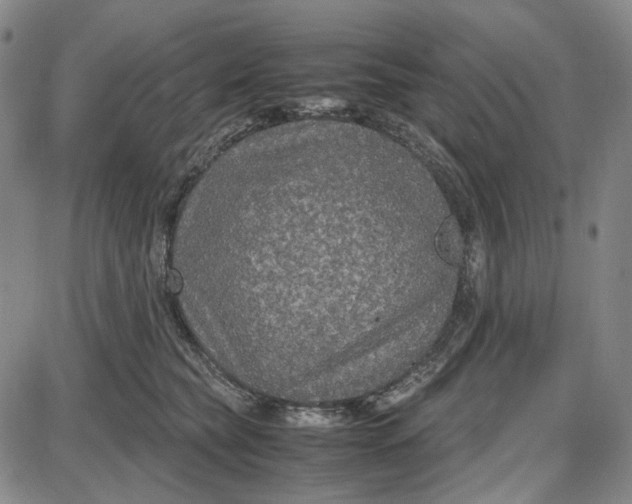 X0000087640565200705241242