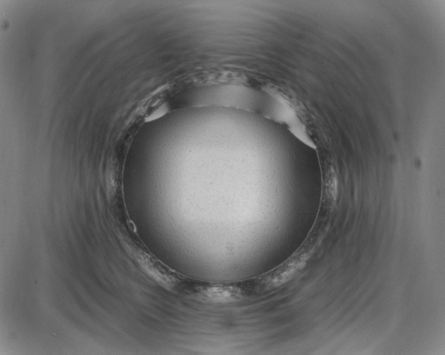 X0000087640566200705241242