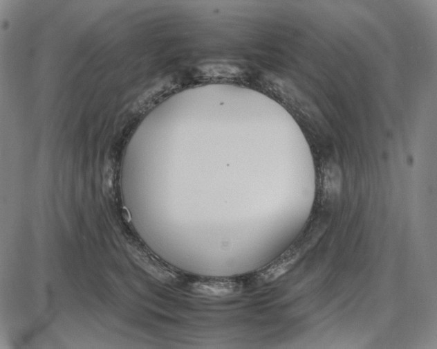 X0000087640567200705241242