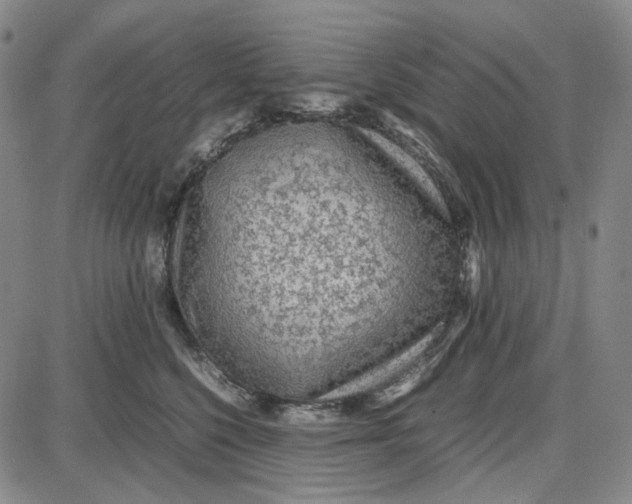 X0000087640568200705241243