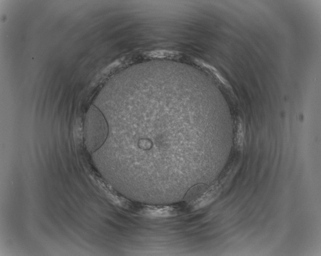 X0000087640569200705241243